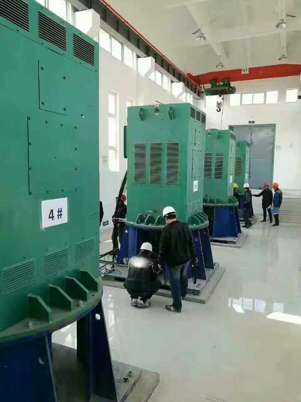 靖宇某污水处理厂使用我厂的立式高压电机安装现场